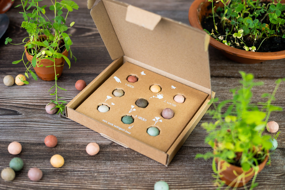 Giftbox Medium - 9 stuks - Original
